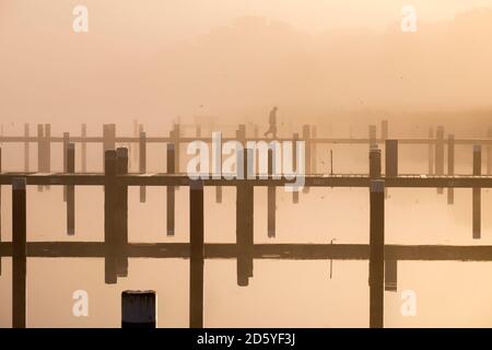 Germany, Fischland-Darss-Zingst, Prerow, Prerowstrom, morning mood at harbour Stock Photo