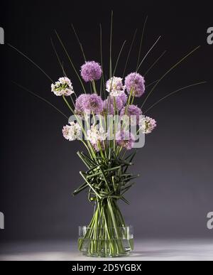 Floral arrangement of Allium, Allium roseum, Equisetum, Xanthorrhoea australis Stock Photo