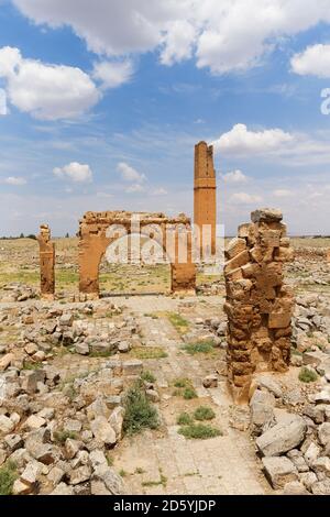 Turkey, Anatolia, South East Anatolia, Sanliurfa Province, Harran, Ruins of the University and Minaret of Ulu Camii Stock Photo