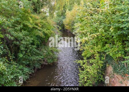 The River Salwarpe running through Vines Park in Droitwich Spa, Worcestershire, UK Stock Photo