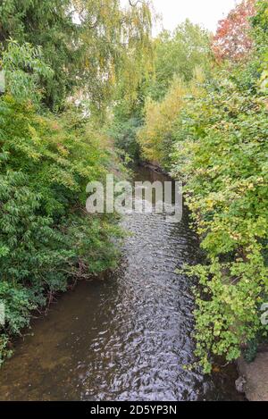 The River Salwarpe running through Vines Park in Droitwich Spa, Worcestershire, UK Stock Photo