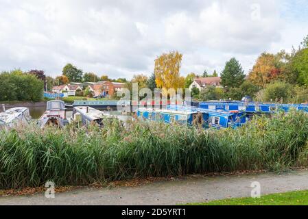 Narrowboats moored at Droitwich Marina in Vines Park, Droitwich, Worcestershire, UK Stock Photo
