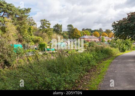 Allotments overlooking the River Salwarpe in Vines Park, Droitwich Spa, Worcestershire, UK Stock Photo