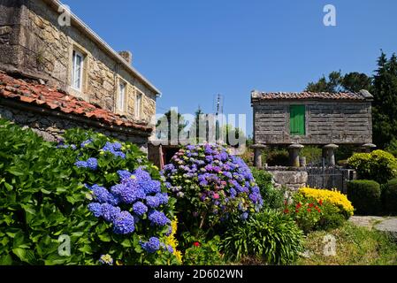 Spain, Galicia, Malpica de Bergantinos, traditional storage for crop Stock Photo