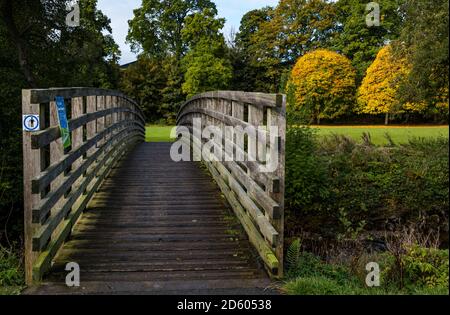 Perthshire, Scotland, United Kingdom, 14th October 2020. UK Weather: Autumn colours. The trees across Perthshire display stunning gold and orange colours on a day that alternated between rain and sunny intervals. Pictured: Autumn trees in MacRosty Park or Taylor Park, Crieff with a view across a wooden footbridge Stock Photo