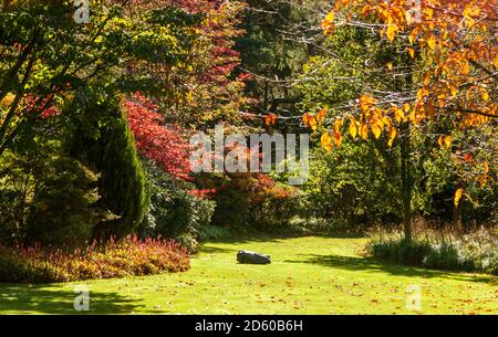 Robot lawn mower at work in a large garden in Scotland. Stock Photo