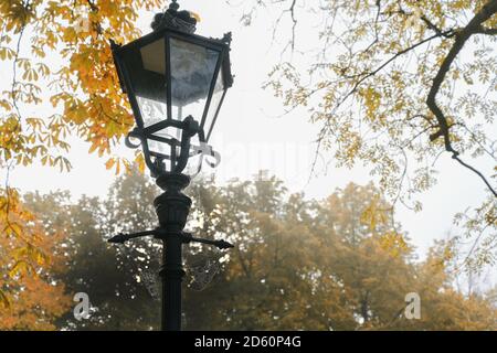 Nostalgic lamp in the park with cobwebs on a misty autumn morning, copy space, selected focus, narrow depth of field Stock Photo