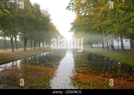 Canal with rows of trees on the bank and reflections in the water on a foggy autumn morning in a public landscape park, copy space, selected focus, na Stock Photo