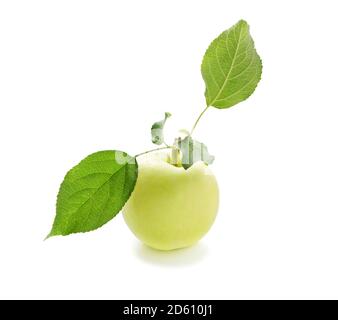 Apple with leaf Isolated on a white background. One ripe apple on branch with leaves. Stock Photo