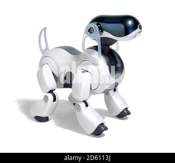 Sony Aibo robotic pet dog in  white and black photographed on a white background. Stock Photo