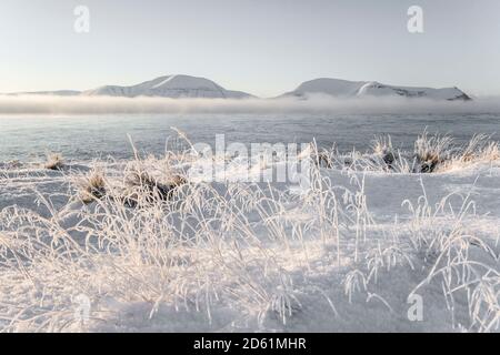 Frosty morning after the sunrise when first sunlight hits Orkney hills of Hoy in December Stock Photo