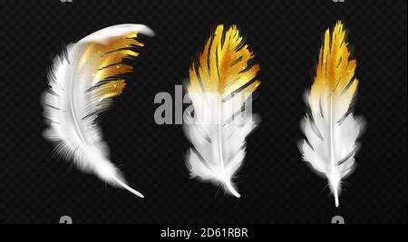 White feathers with gold glitter on edges, birds plumage or hackles with golden sparks, boho style trendy design elements isolated on black background, Realistic 3d vector illustration, icons set Stock Vector