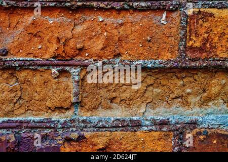 Orange brick wall in details. Macro shot. Stock Photo