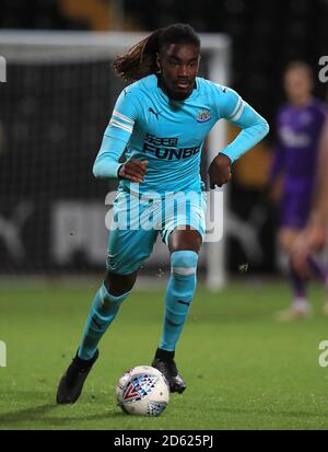 Stefan O'Connor, Newcastle United Stock Photo