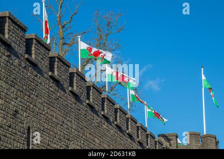 Welsh flags flying above Cardiff Castle, Wales Stock Photo