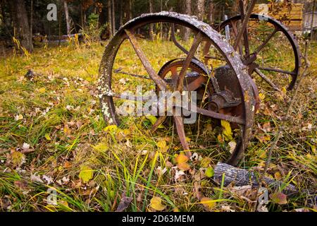 The ancient wheels of an old Sickle mower rest on the edge of the woods in the autumn leaves on an old farmstead. Lichens have adopted the rusty iron. Stock Photo