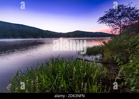 Wildflowers and dawn on Quaker Lake, Allegany State Park, Cattaraugus  County, New York Stock Photo