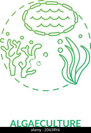 Algaeculture concept icon Stock Vector