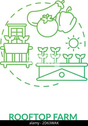 Rooftop farm concept icon Stock Vector