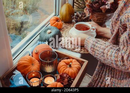 Female hands holding cup of tea near autumn cozy mood composition on the windowsill. Pumpkins, cones, candles on wooden tray. Autumn, fall, hygge home Stock Photo
