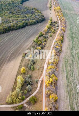 Aerial Photo of a colored forest in autumn Stock Photo - Alamy