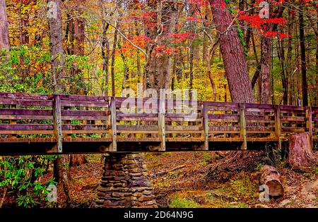 Fall foliage adds splashes of color at the trailhead to Abrams Falls, Nov. 2, 2017, in Cades Cove at Great Smoky Mountains National Park in Tennessee. Stock Photo