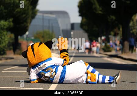 QPR mascot Jude The Cat greets fans outside the Kiyan Prince Foundation Stadium ahead of Queens Park Ranger and Wigan Athletic's match. Stock Photo