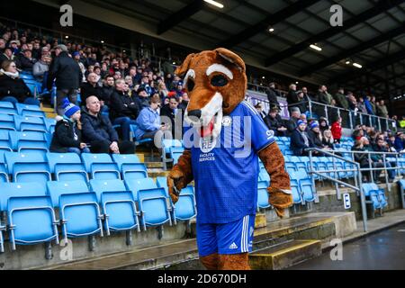 FC Halifax Town fans and club mascot watch the match during the  Vanarama Conference Premier League  match at The Shay Stock Photo