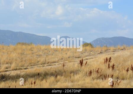 Colorado autumn landscape with dirt trail through dry winter grasses with Rocky Mountains in background Stock Photo