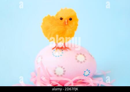 Orange  chick standing on a pink Easter egg Stock Photo