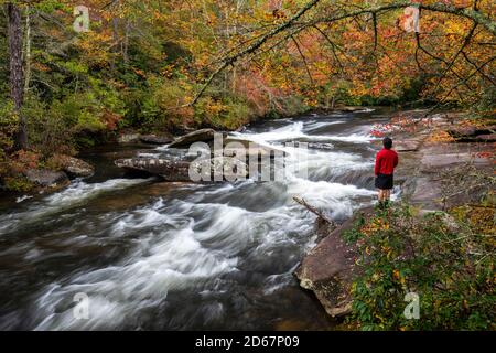 Hiker looking out at a cascade on the Little River - Corn Mill Shoals Trail, DuPont State Recreational Forest, Cedar Mountain, North Carolina, USA Stock Photo