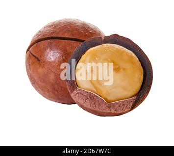 macadam nuts with clipping path on a white isolated background Stock Photo