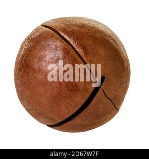 macadam nuts with clipping path on a white isolated background Stock Photo
