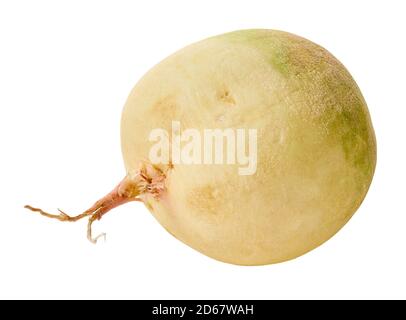 fresh radish vegetable with clipping path on a white isolated background Stock Photo