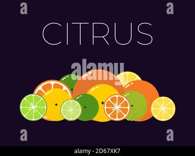 Vector Citrus Fruits pack and sliced half of Citrus on dark background Stock Vector
