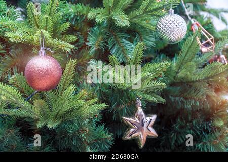 Christmas balls on the Christmas tree branch Stock Photo