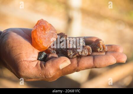 Smuggler showing smuggled precious and semi precious stones excavated in illegal mine, Mozambique Stock Photo