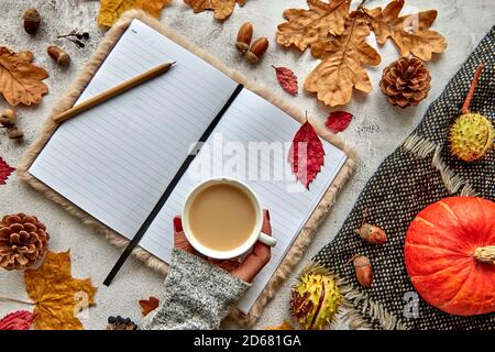 Autumn, fall or halloween composition made of dried leaves, pumpkin, pine cones, acorns, warm scarf and hand with cup of coffee on concrete background Stock Photo