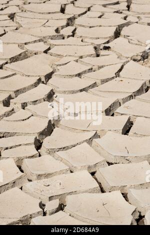 Cracked soil surface for background. Global warming concept Stock Photo