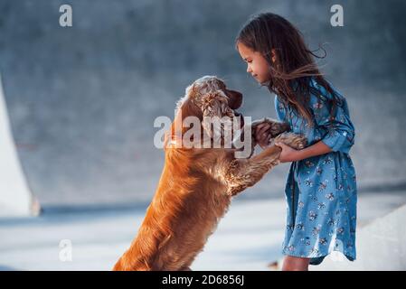 Pet stands on on the hind legs. Cute little girl have a walk with her dog outdoors at sunny day Stock Photo