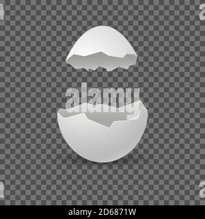 Brocken eggs. Crack eggshell. Vector realistic break white shell on transparent background. Stock Vector