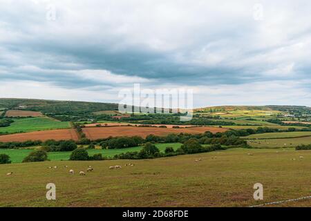 Far. Distance View Beautiful landmark of Devonshire farmlands, far distance view for trees ...