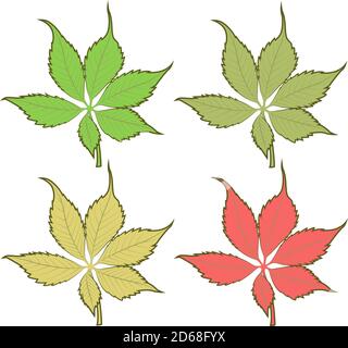 A set of four sheets of different colors. Vector of different tree leaves. Stock Vector