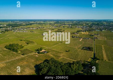 Bourgueil (central-western France): aerial view of the vineyards and the surrounding area in spring On the right, the town of Bourgueil Stock Photo