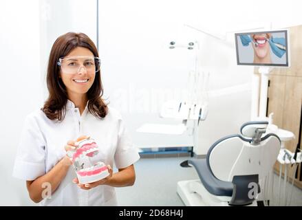 doctor holding a model of human teeth and looking at the camera smiling, which is in the workplace, in the modern dental clinic Stock Photo