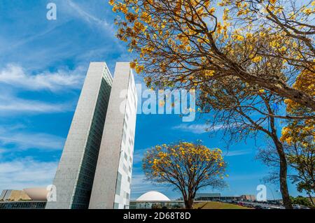 National Congress with yellow ipe trees in bloom, Brasilia, DF, Brazil on August 14, 2008. Stock Photo