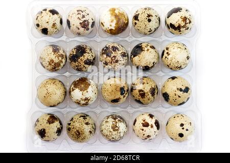 Quail eggs in open transparent packing box on white background, top view Stock Photo