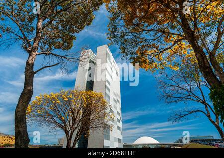 National Congress with yellow ipe trees in bloom, Brasilia, DF, Brazil on August 14, 2008. Stock Photo