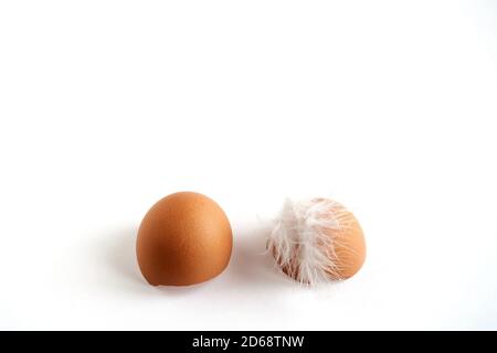eggshell with feather on white background Stock Photo
