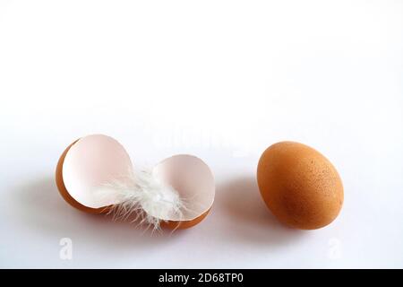 brown egg and eggshell with feather on white background Stock Photo